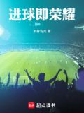 进球即荣耀txt
