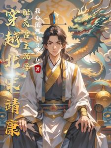 北宋靖康耻小说