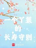 一个丫鬟什么电视剧