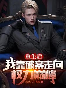 重生后,我靠破案走向权力巅峰txt