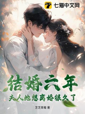 有一部小说结婚六年突然离婚