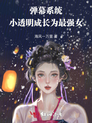 弹幕变透明