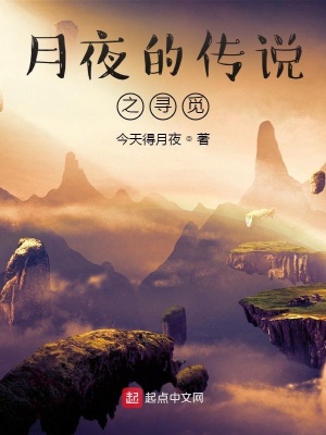 月夜传说手游攻略