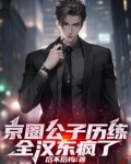 京圈公子历练,全汉东疯了