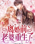 一胎二宝:离婚前,老婆重生了短剧