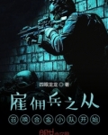 召唤佣兵小说