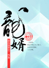 龙婿叶辰与萧初然