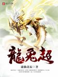 龙兔超小说