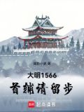 大明王朝1566电视剧