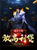 我在大明搞发明小说